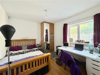 Picture 14